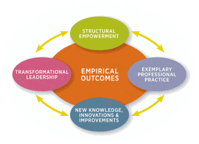 An infographic showing Global Issues in Nursing and Healthcare and empirical outcomes