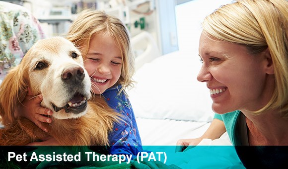 Pet Assisted Therapy- Nurse Introduces Golden Retriever to Pediatric Patient