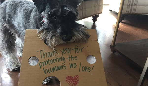 A dog holding a sign that says "Thank you for protecting the humans we love!"