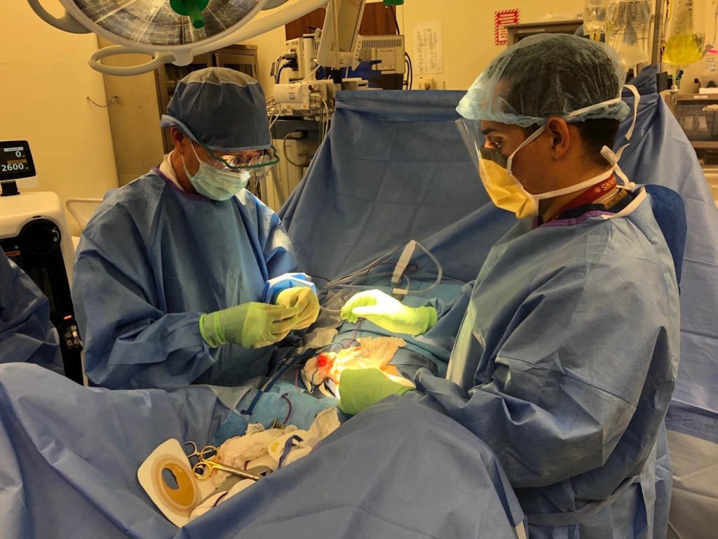 Two physicans performing an operation