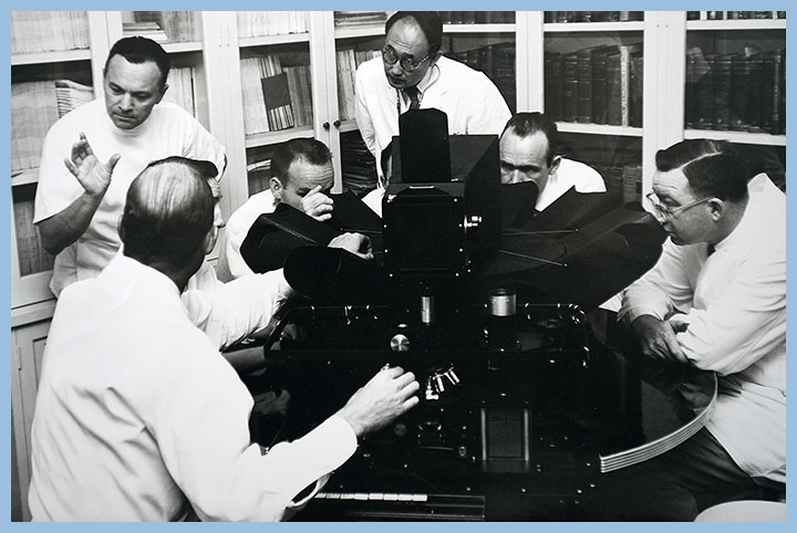 Black and white photo of six doctors looking into microscopes