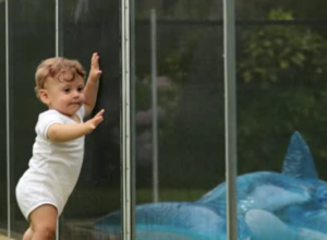 Pool Safety: What You Need to Know for a Safe Swimming Season