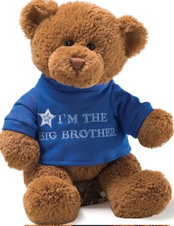 stuffed bear with "Im the big brother" blue shirt on