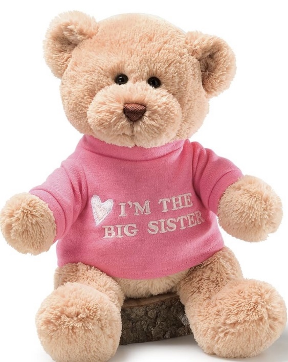 stuffed bear with "Im the big sister" pink shirt on