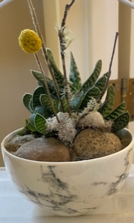 unique succulent arrangement